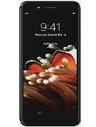 QMobile Q Infinity B